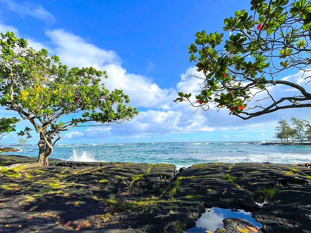 Tropical Autumn Morning Oceanrise art print by Melissa Nebula for $57.95 CAD