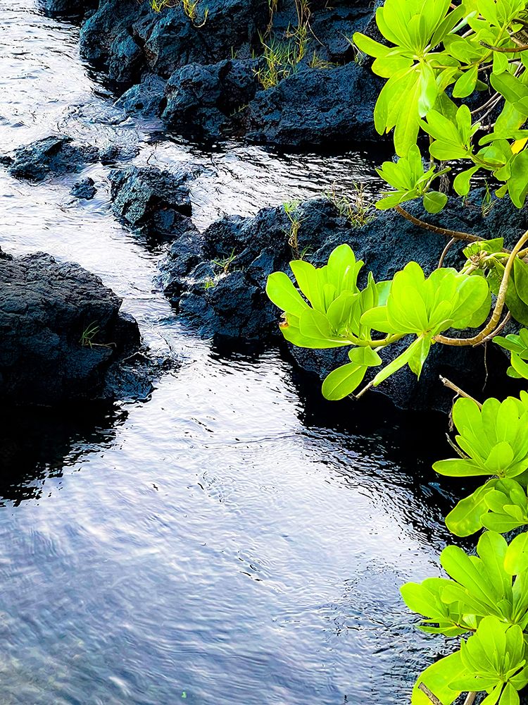 River Gaze art print by Melissa Nebula for $57.95 CAD