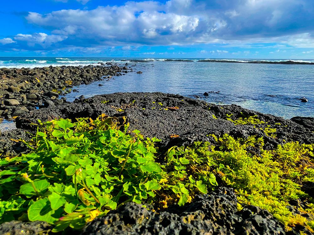 Hilo Morning Rise art print by Melissa Nebula for $57.95 CAD