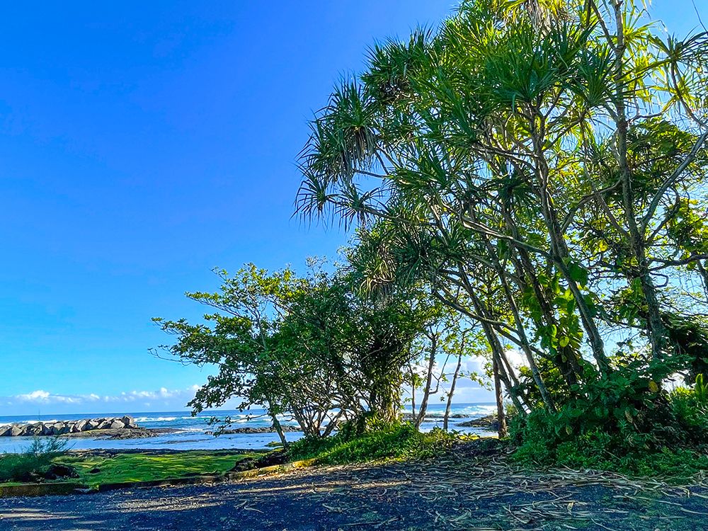 Hilo Shade art print by Melissa Nebula for $57.95 CAD
