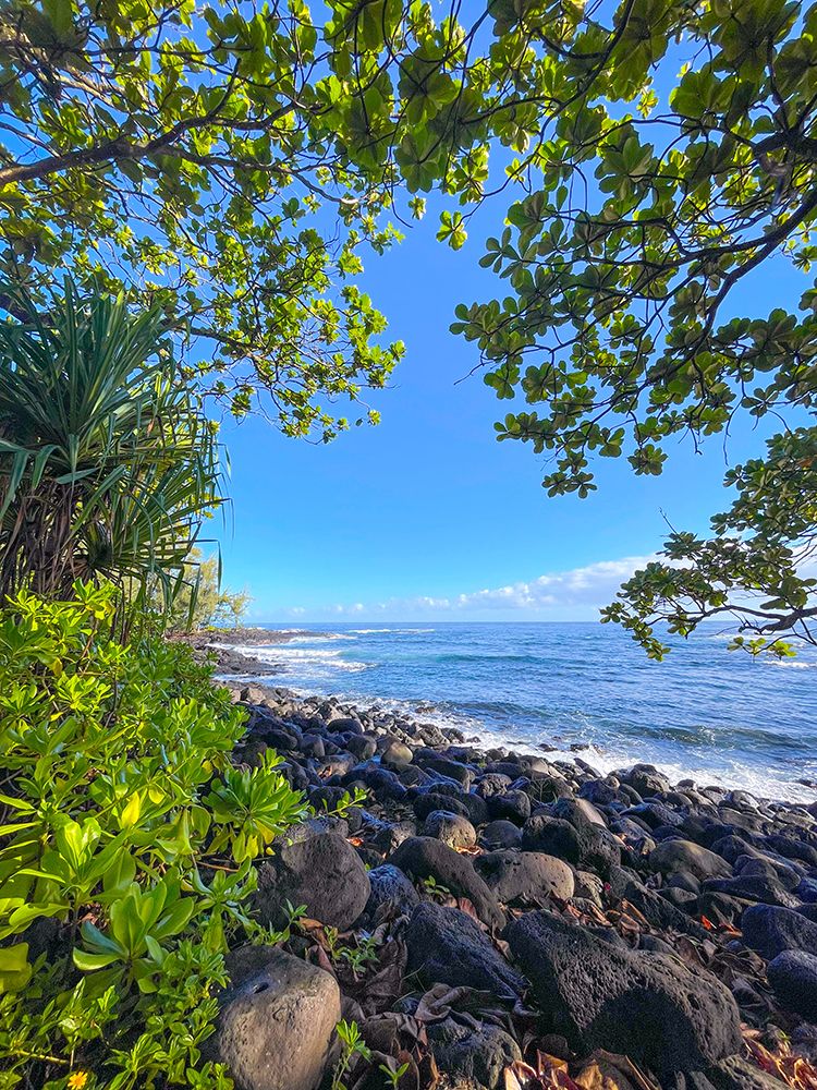 Hilo Cove art print by Melissa Nebula for $57.95 CAD