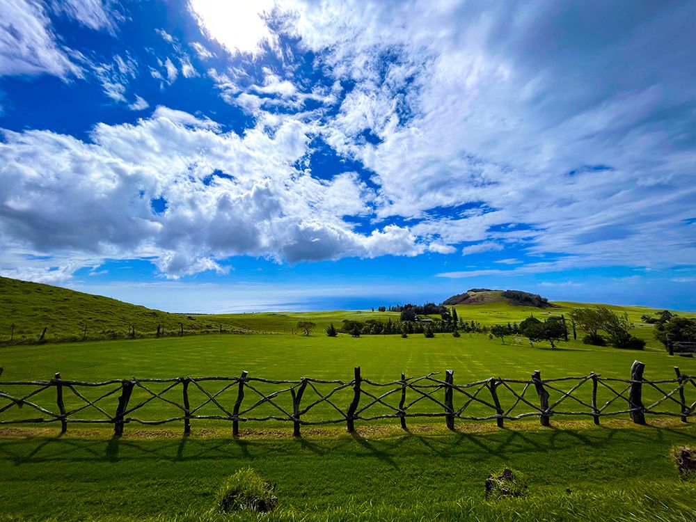 Kohala Countryside art print by Melissa Nebula for $57.95 CAD