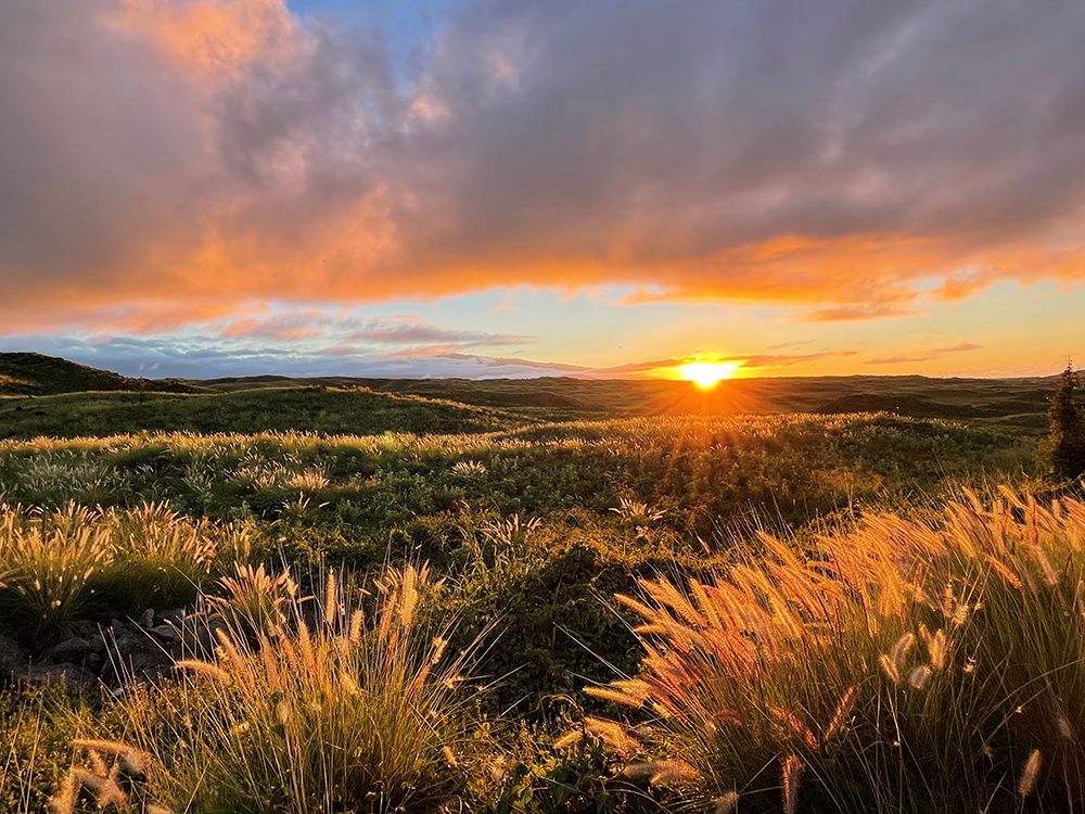 Sunset On Saddle Road art print by Melissa Nebula for $57.95 CAD