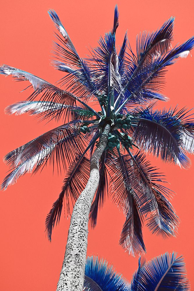 Tropical Wiggle art print by Melissa Nebula for $57.95 CAD