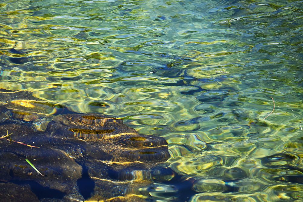 Groovy Tidal Pool art print by Melissa Nebula for $57.95 CAD