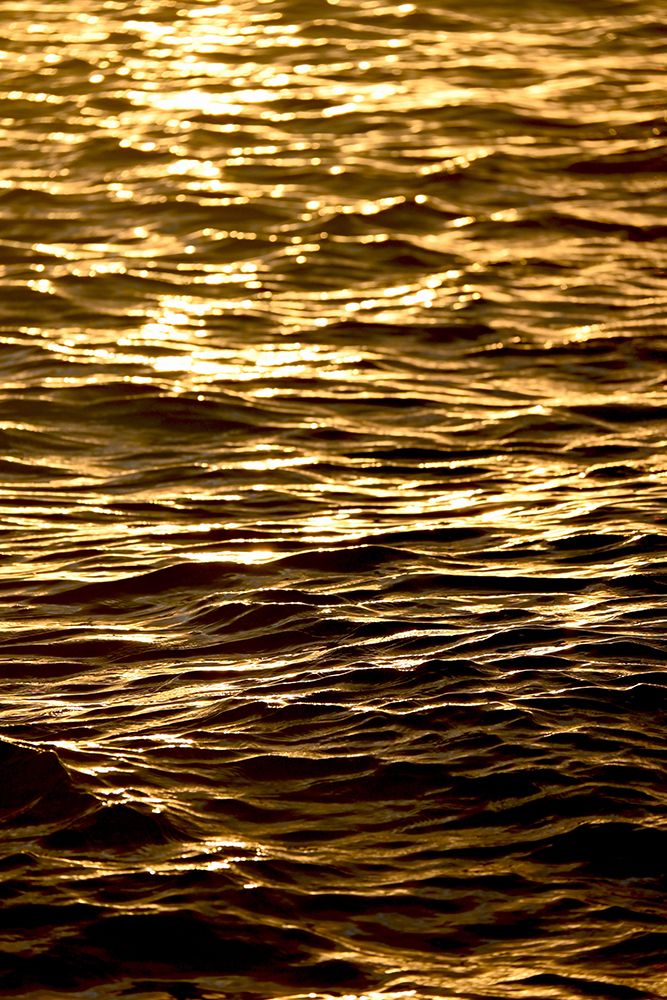 Glowing Golden Sea art print by Melissa Nebula for $57.95 CAD