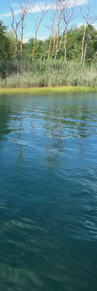 Scenic River 1 art print by Marcus Prime for $57.95 CAD