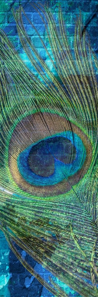 Urban Peacock 1 art print by Marcus Prime for $57.95 CAD