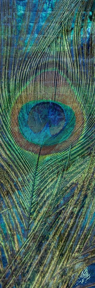 Urban Peacock 2 art print by Marcus Prime for $57.95 CAD