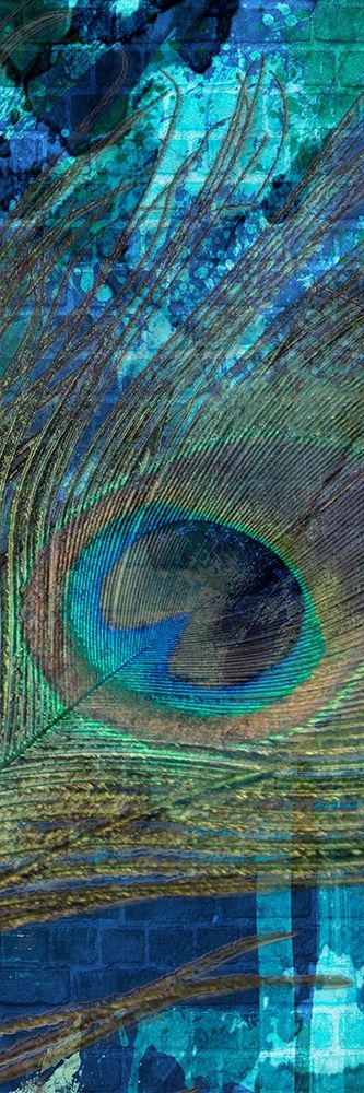 Urban Peacock 3 art print by Marcus Prime for $57.95 CAD