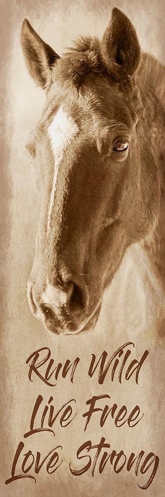 Wild And Free art print by Marcus Prime for $57.95 CAD