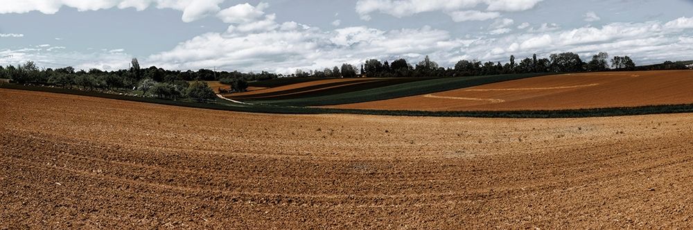 Fields Of Fall 1 art print by Marcus Prime for $57.95 CAD