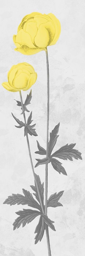 Shinning Bloom art print by Marcus Prime for $57.95 CAD