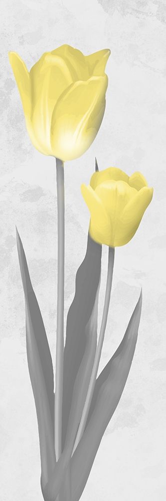 Shinning Bloom 2 art print by Marcus Prime for $57.95 CAD