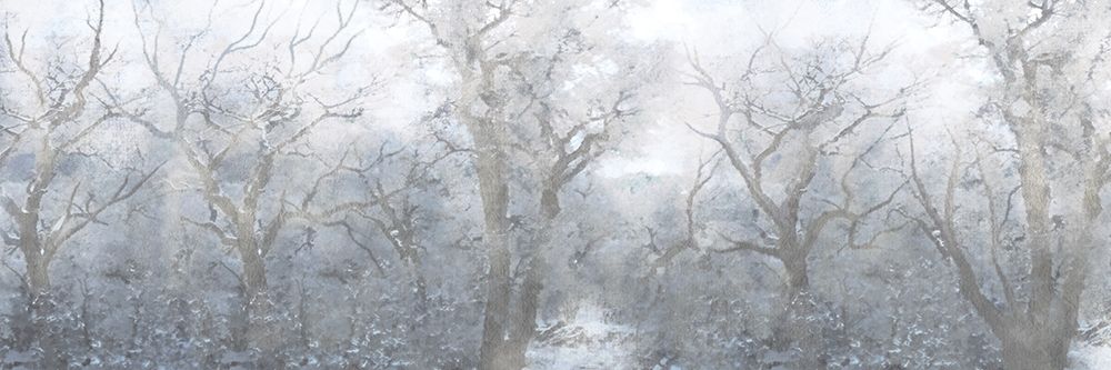 Mysterious Forest art print by Marcus Prime for $57.95 CAD