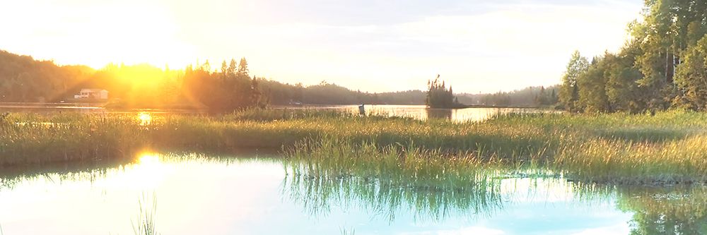 Sunny Marsh 2 art print by Marcus Prime for $57.95 CAD