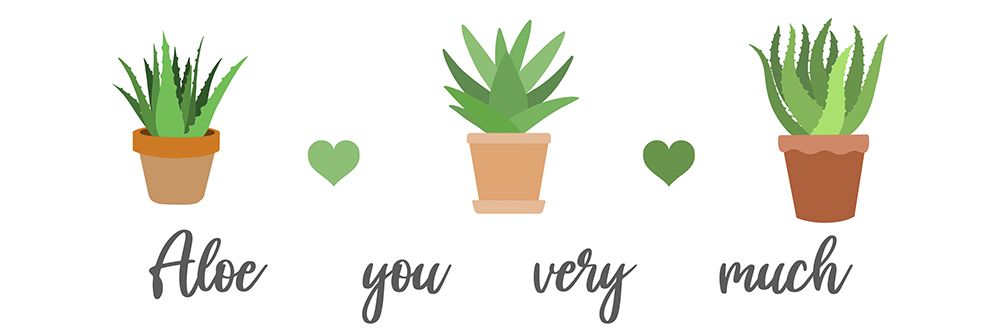 Aloe You Very Much art print by Marcus Prime for $57.95 CAD