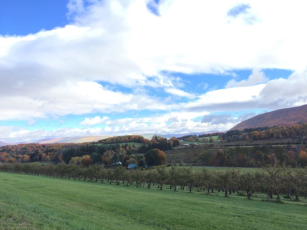 Autumn Skies 1 art print by Marcus Prime for $57.95 CAD