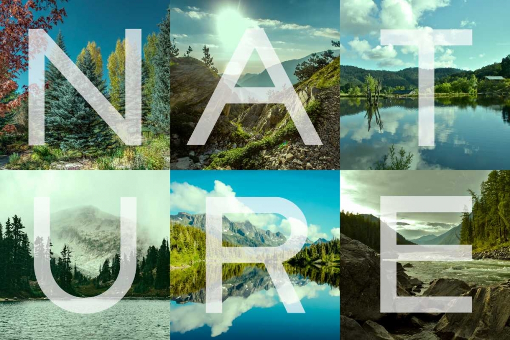 Nature Patch art print by Marcus Prime for $57.95 CAD