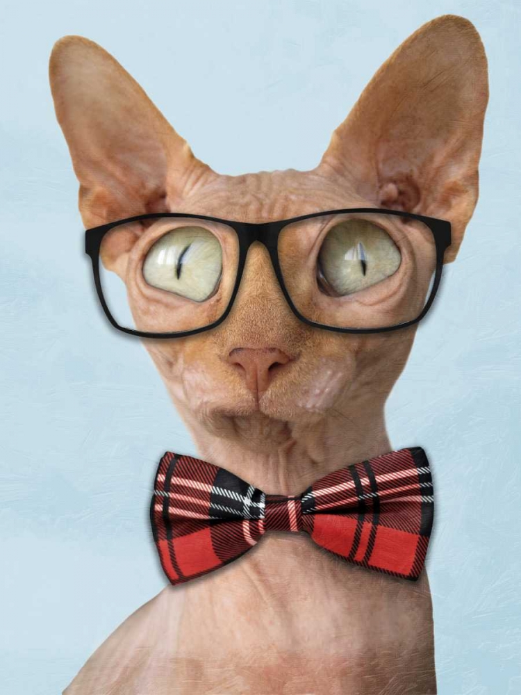 Sophisticated Sphynx art print by Marcus Prime for $57.95 CAD