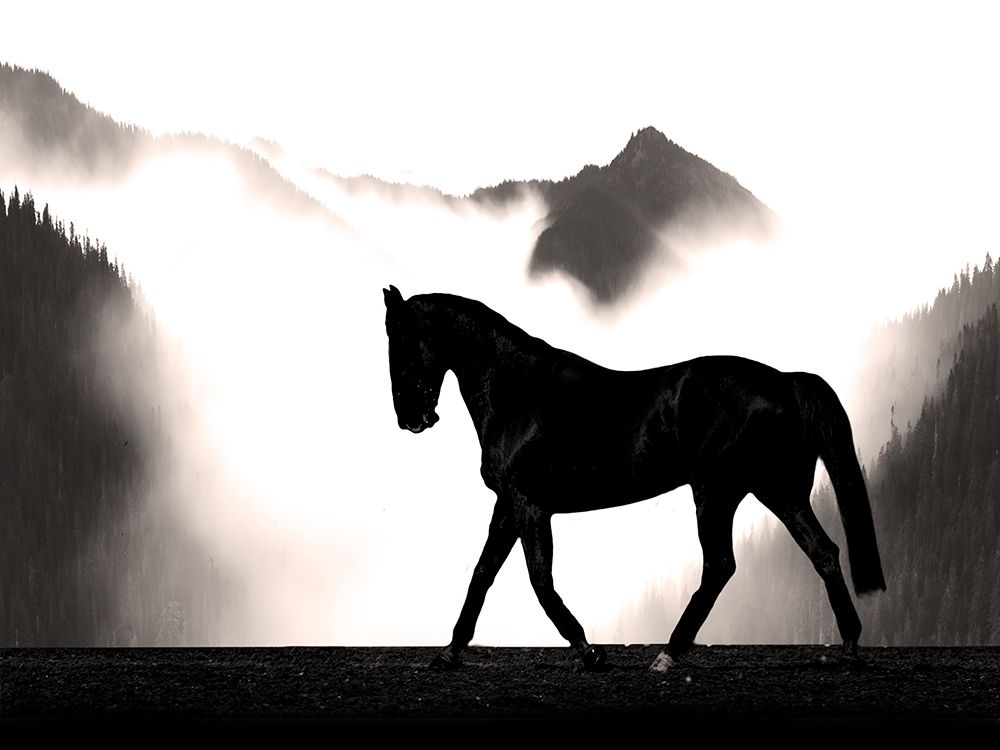 Wandering Horse art print by Marcus Prime for $57.95 CAD