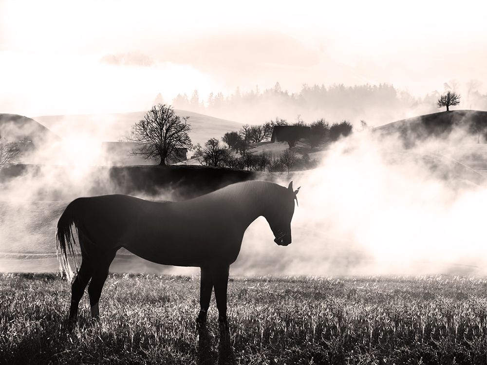 Wandering Horse 2 art print by Marcus Prime for $57.95 CAD