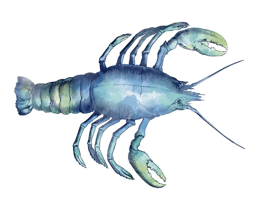 Sea Friends 3 art print by Marcus Prime for $57.95 CAD
