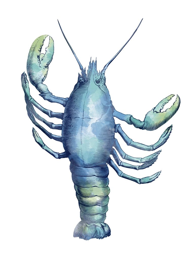 Sea Friends art print by Marcus Prime for $57.95 CAD