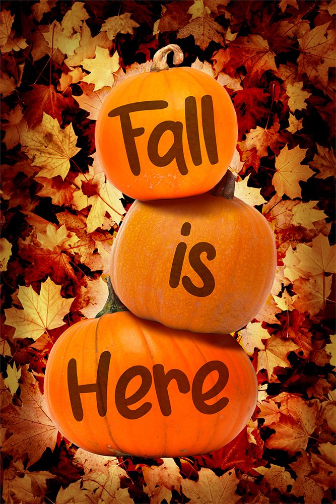 Fall Is Here art print by Marcus Prime for $57.95 CAD