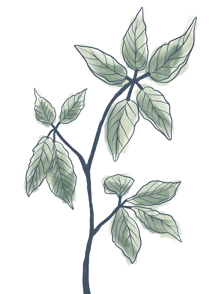 Illustrated Botanicals art print by Marcus Prime for $57.95 CAD