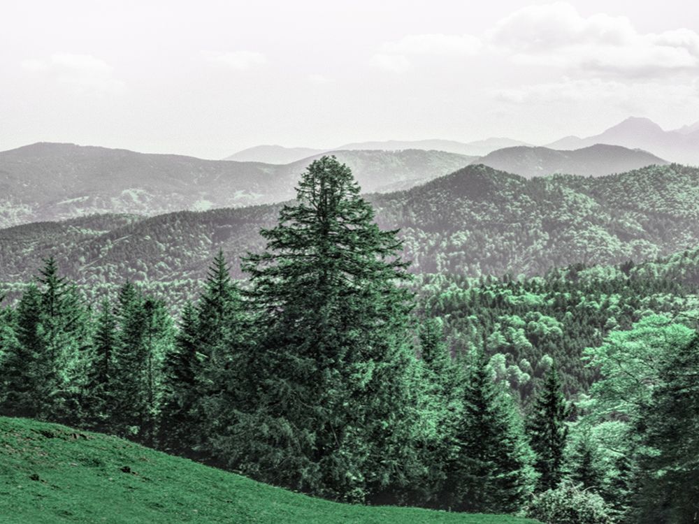 Mountain Beauty art print by Marcus Prime for $57.95 CAD