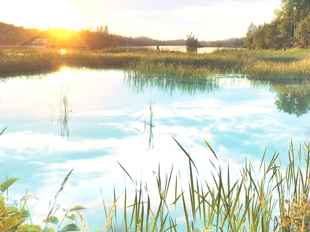 Sunny Marsh art print by Marcus Prime for $57.95 CAD
