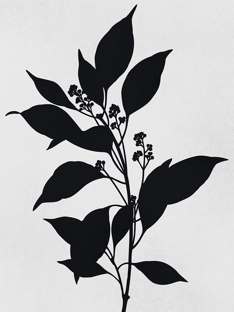 Silhouetted Inverted Growth art print by Marcus Prime for $57.95 CAD