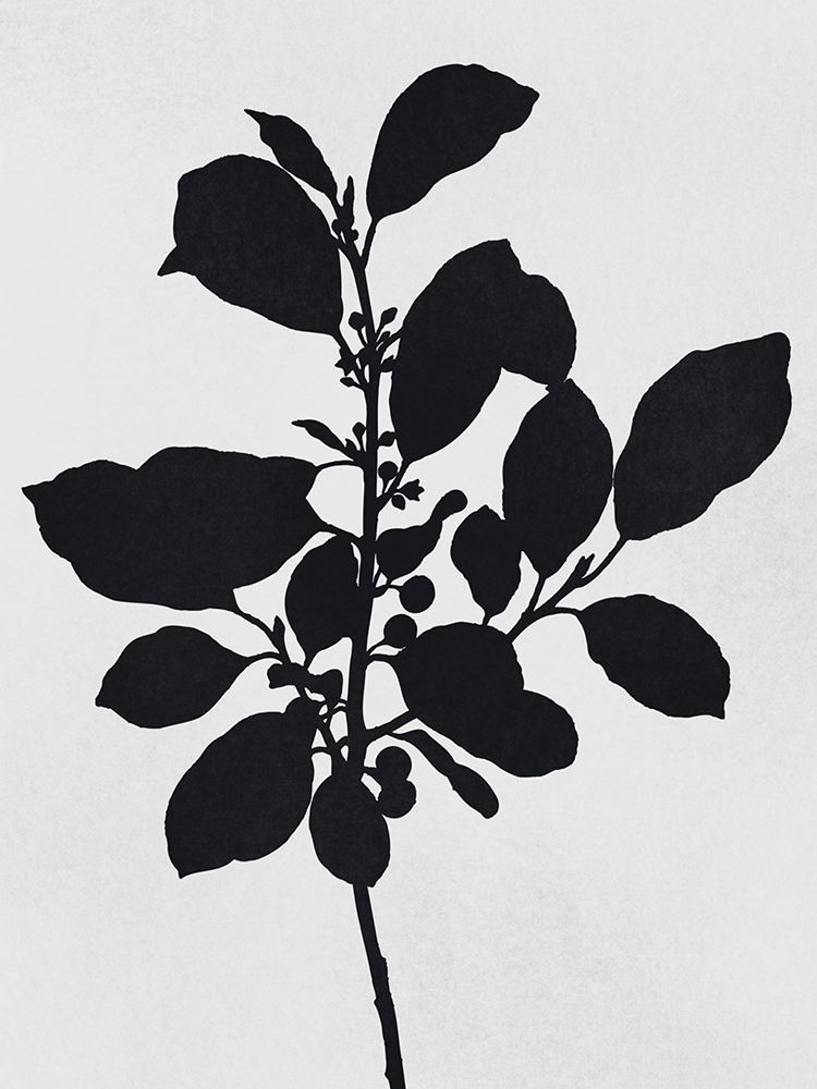Silhouetted Inverted Growth 2 art print by Marcus Prime for $57.95 CAD