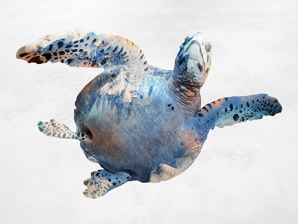Swimming Ocean Friend art print by Marcus Prime for $57.95 CAD