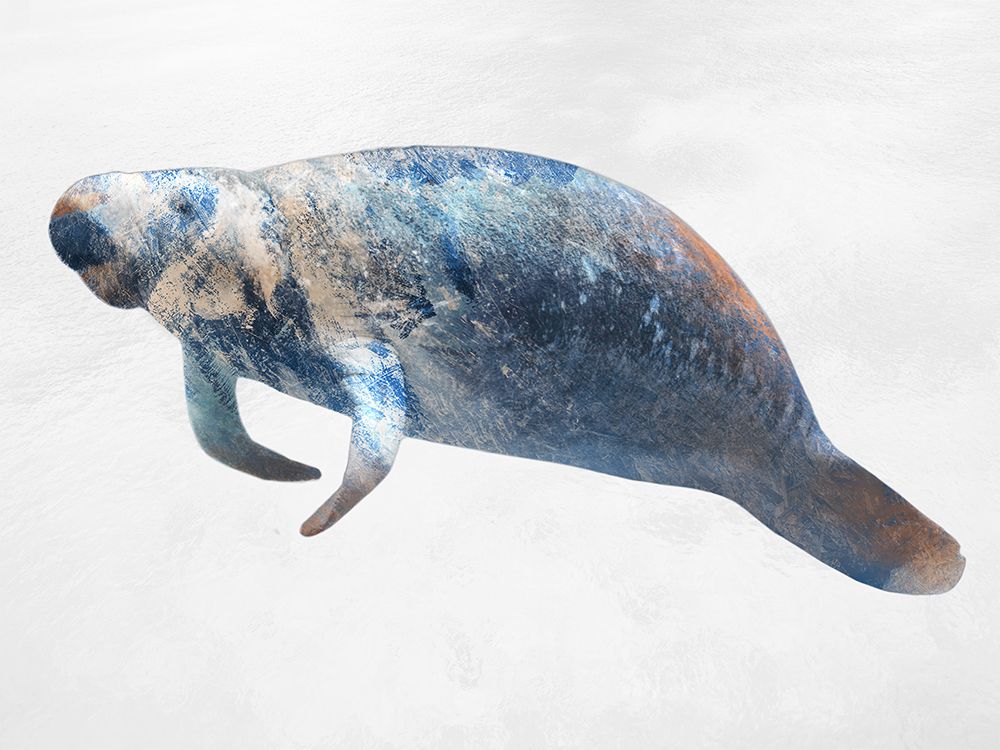 Swimming Manatee art print by Marcus Prime for $57.95 CAD