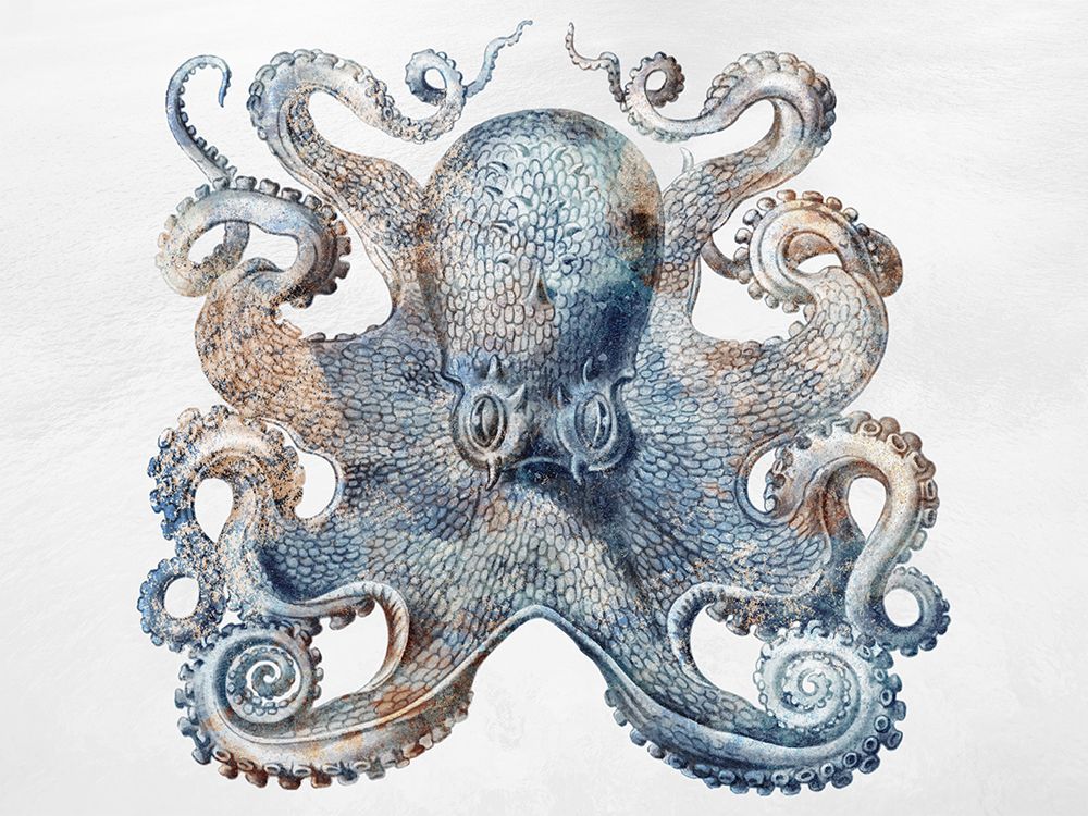 Swimming Ocean Friends 3 art print by Marcus Prime for $57.95 CAD