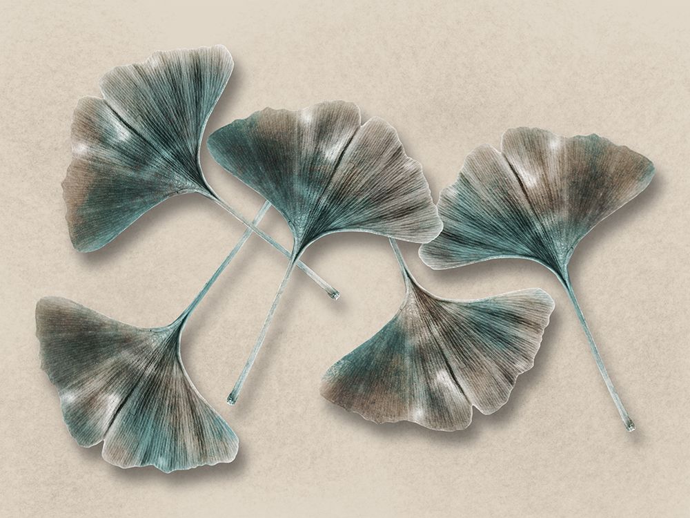 Aged Brass Ginkos 1 art print by Marcus Prime for $57.95 CAD