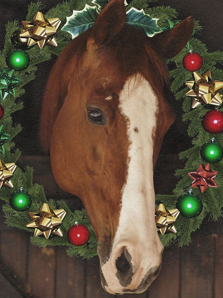 Merry Steed art print by Marcus Prime for $57.95 CAD
