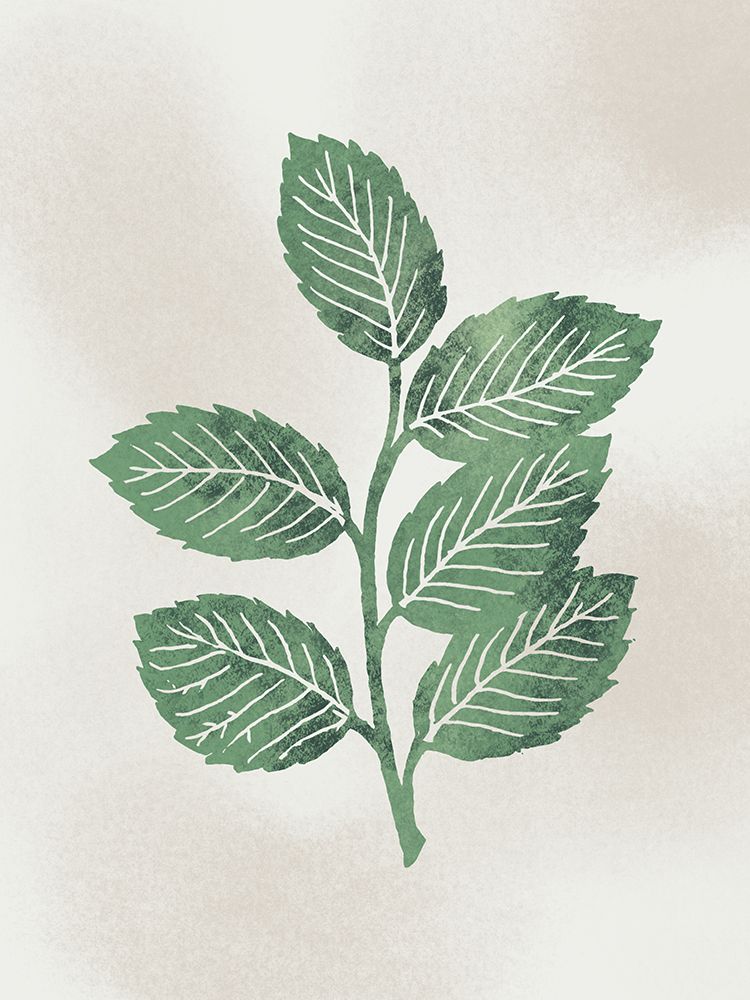 Designated Growth art print by Marcus Prime for $57.95 CAD