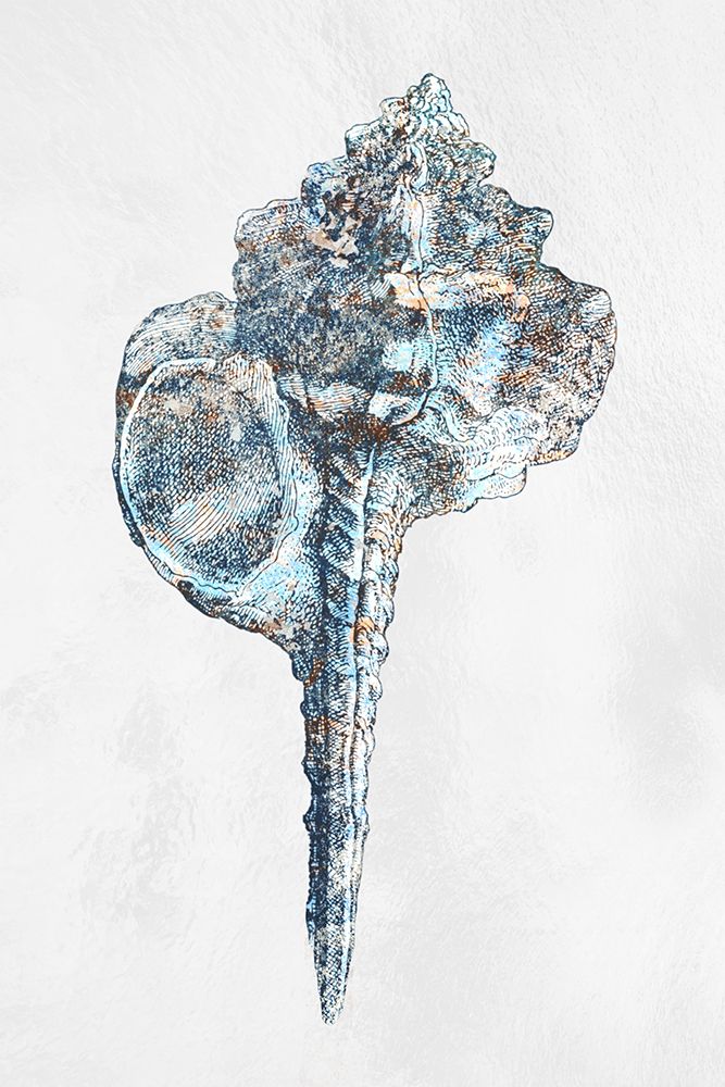 Urban Sea Shell 1 art print by Marcus Prime for $57.95 CAD
