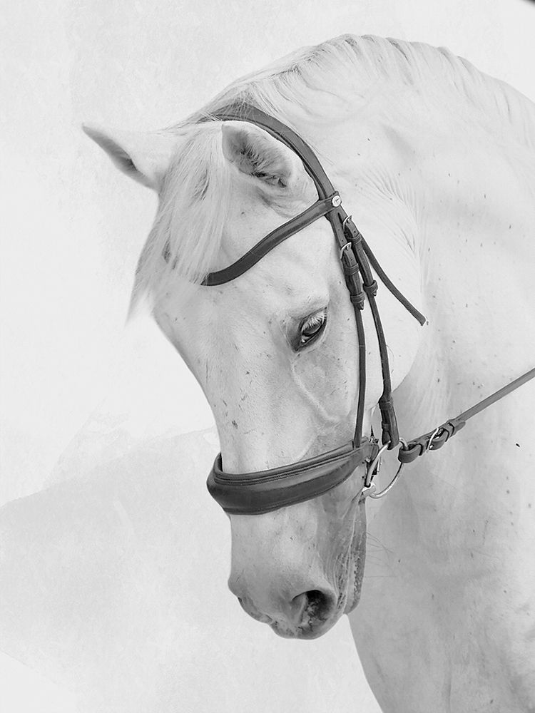 Praying Steed art print by Marcus Prime for $57.95 CAD