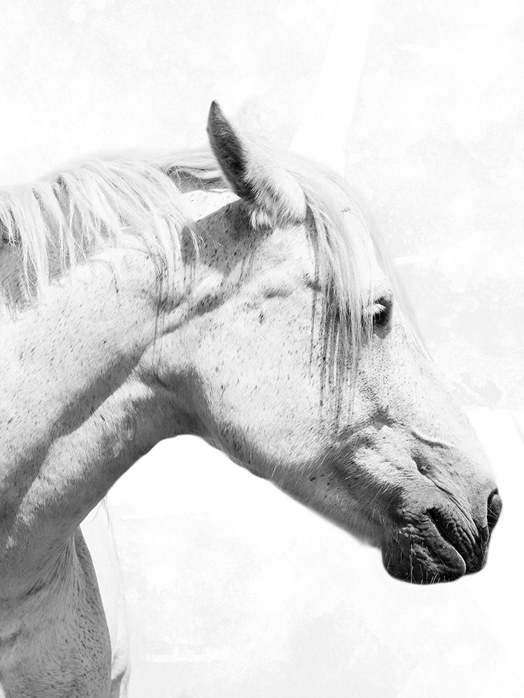 Praying Steed 2 art print by Marcus Prime for $57.95 CAD