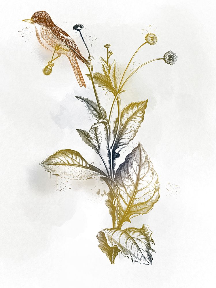 Purity Of Peace 2 art print by Marcus Prime for $57.95 CAD