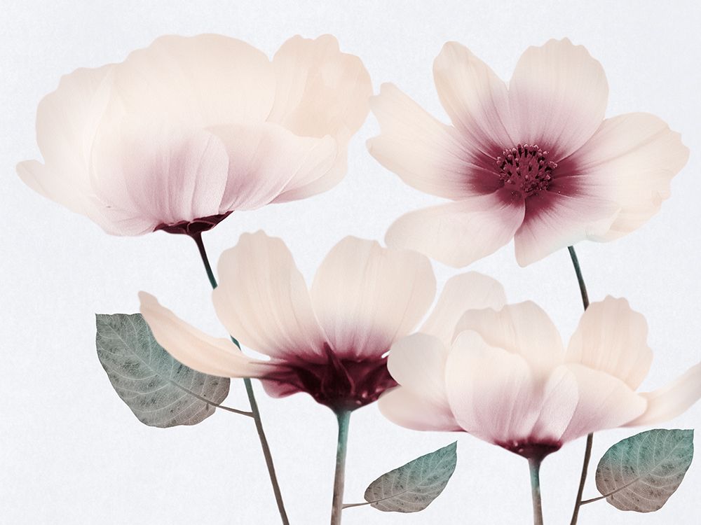 Blooming Youth 2 art print by Marcus Prime for $57.95 CAD
