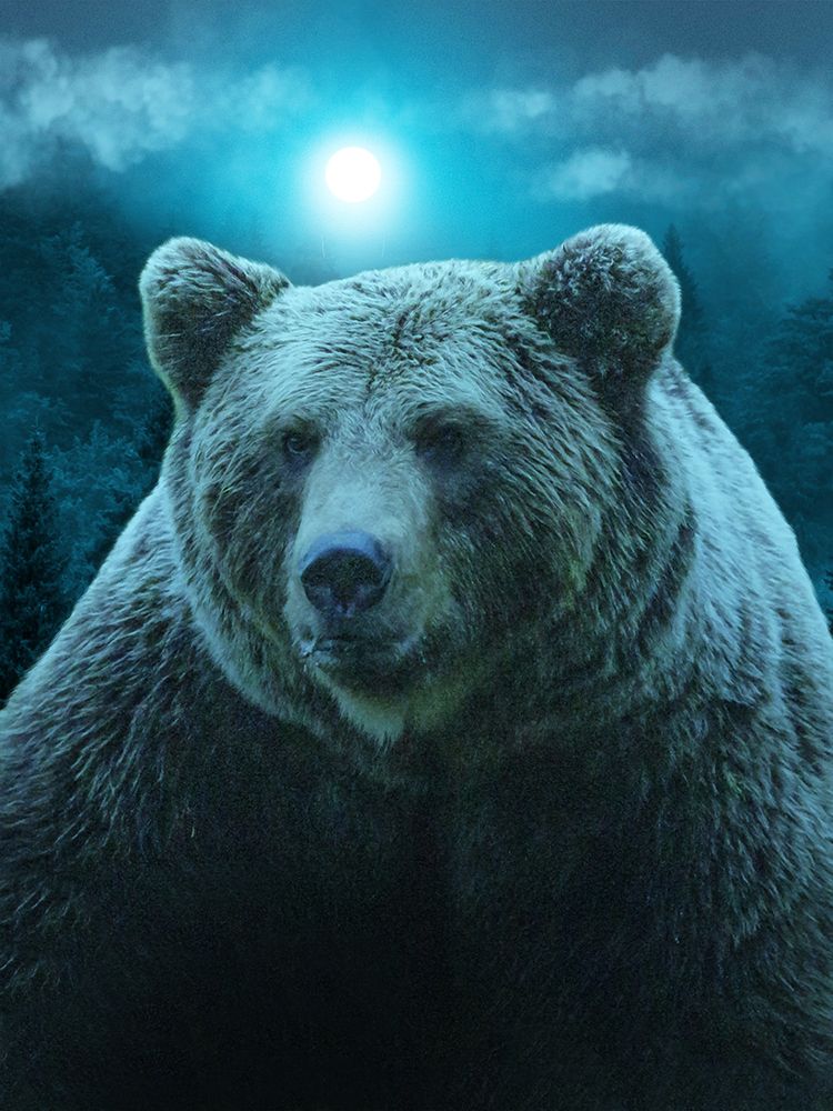 Bear Under Blue Moon art print by Marcus Prime for $57.95 CAD