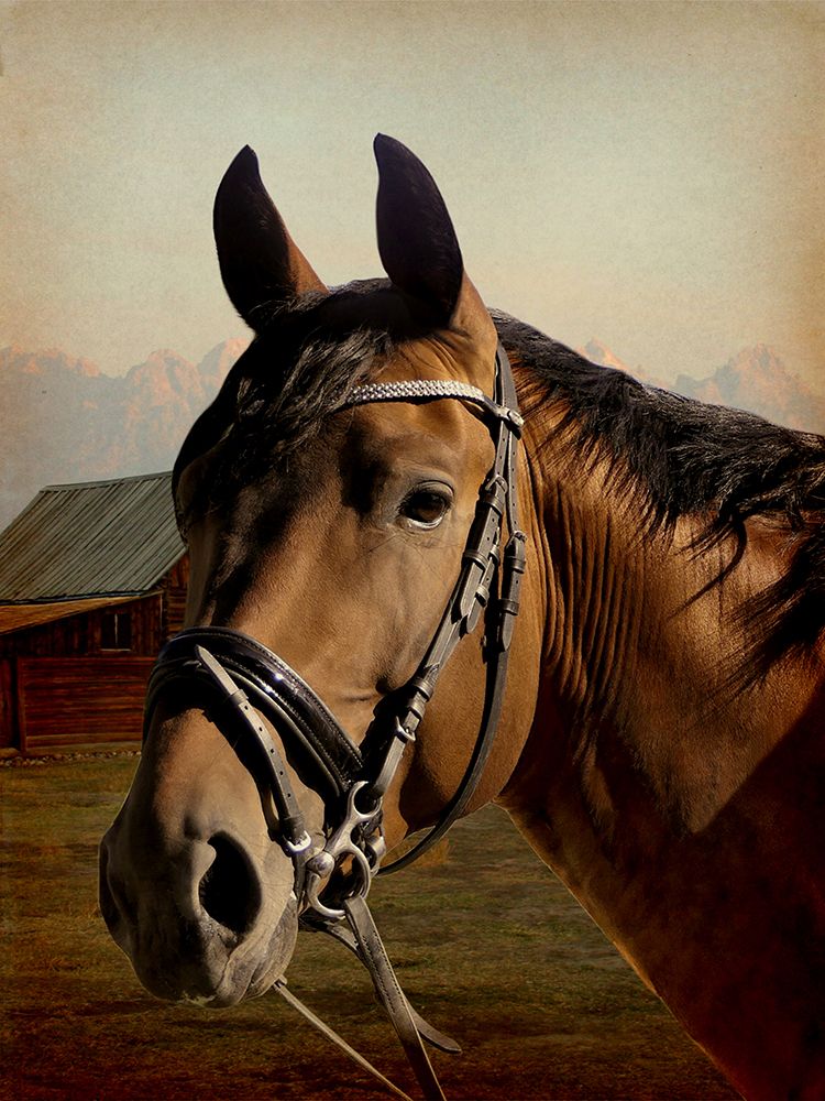 Farm Life art print by Marcus Prime for $57.95 CAD