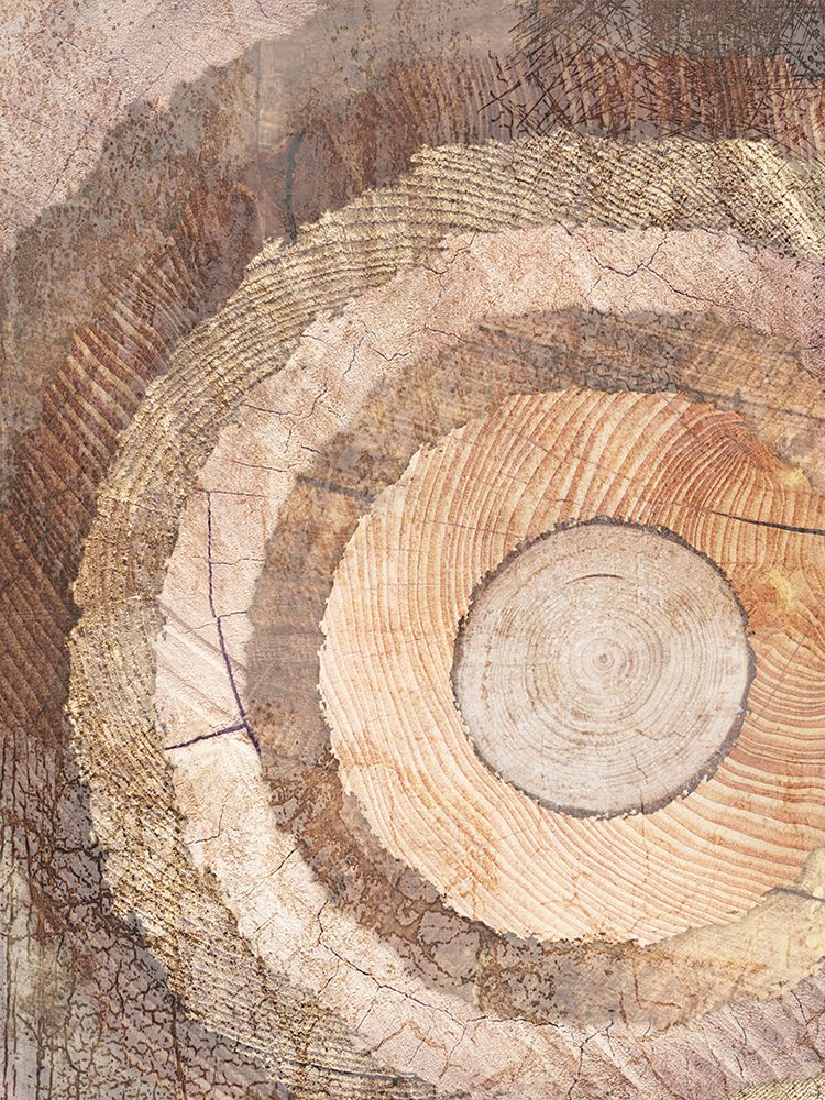 Natural Rings Of Life art print by Marcus Prime for $57.95 CAD
