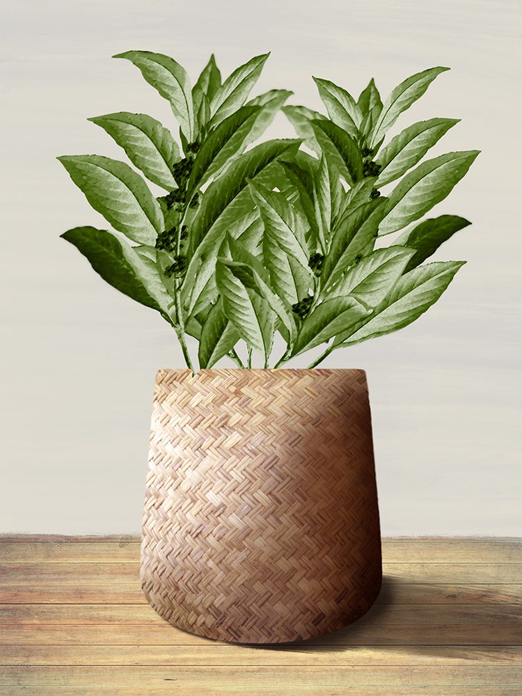 Cozy Botanical 2 art print by Marcus Prime for $57.95 CAD