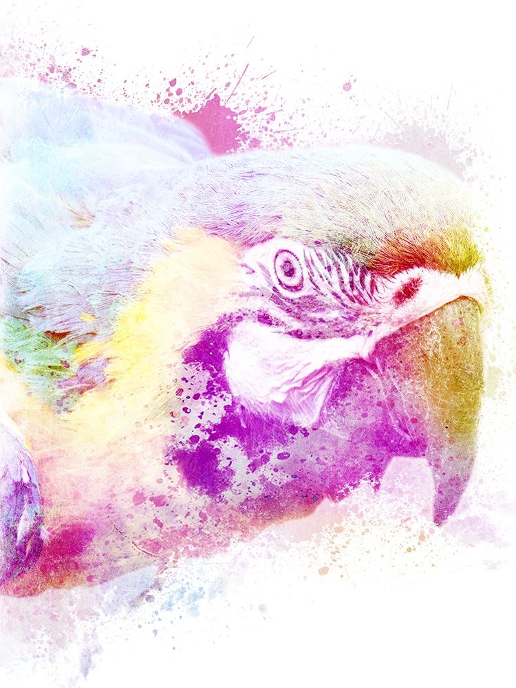 Marvelous Macaw 1 art print by Marcus Prime for $57.95 CAD